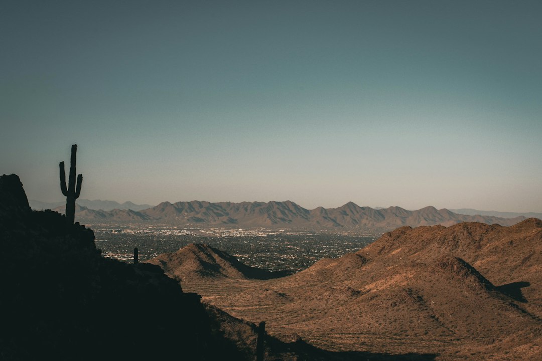 Buying Your Parents' House to Fund Their Care: Smart Move or Tax and Medicaid Trap? — Arizona real estate