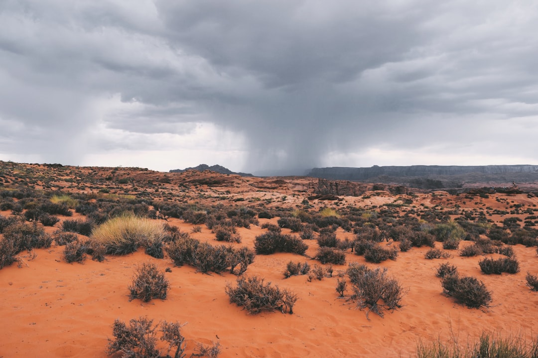Foreclosure filings rise 10% annually in July, ATTOM says — Arizona real estate