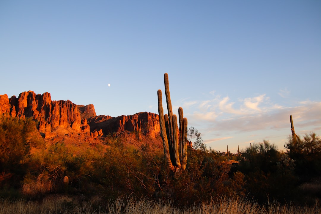 Here are the home amenities buyers crave most — Arizona real estate