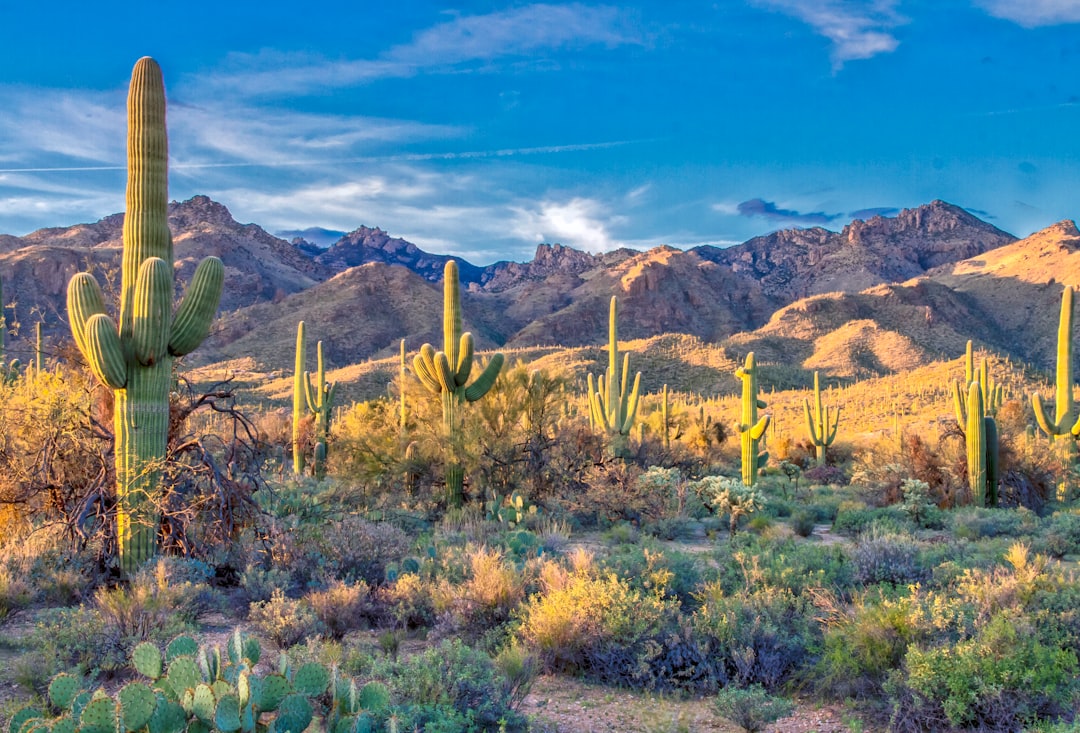 Homeowners insurance costs hit another record high of $209 per month in Q2 2026 — Arizona real estate