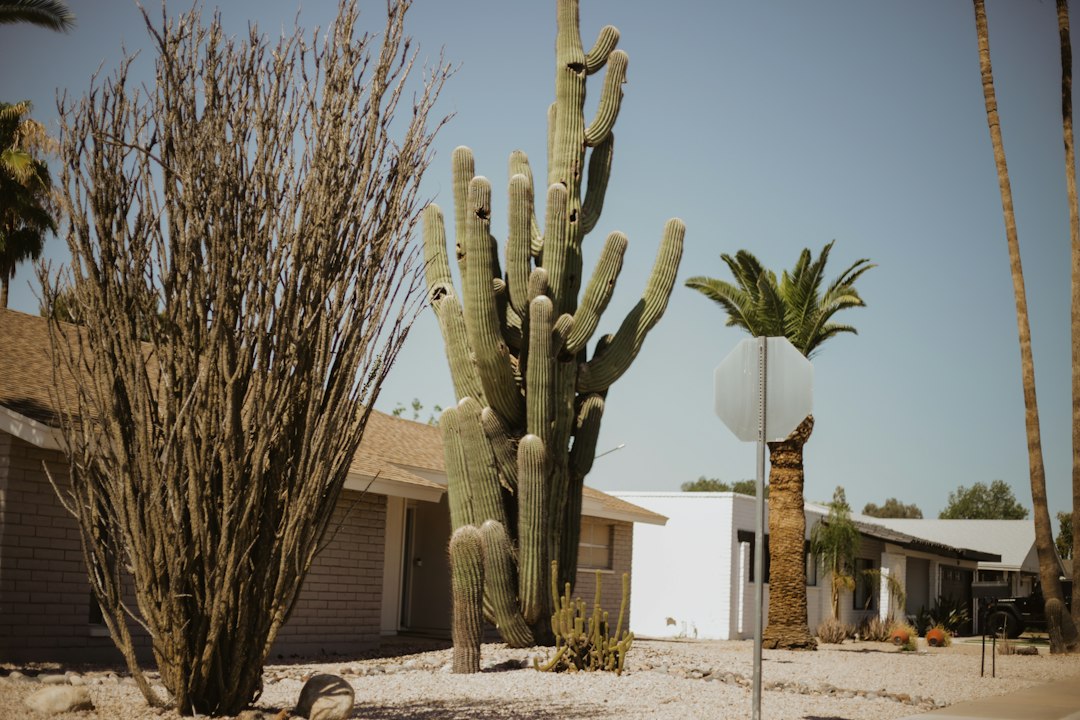 Mortgage rates rise to 7.28% as Fed rate hike looms — Arizona real estate