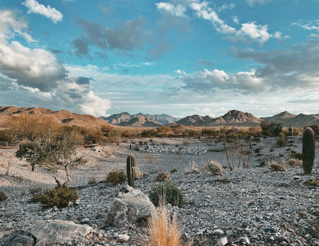 Mounting ICE raids leave homebuilding's frontlines frozen in fear — Arizona real estate