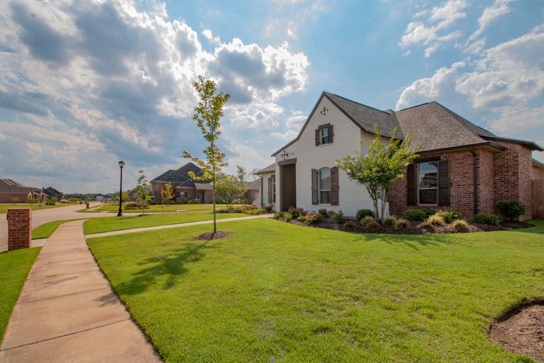 Park Street Homes expands urban infill homebuilding model — Arizona real estate