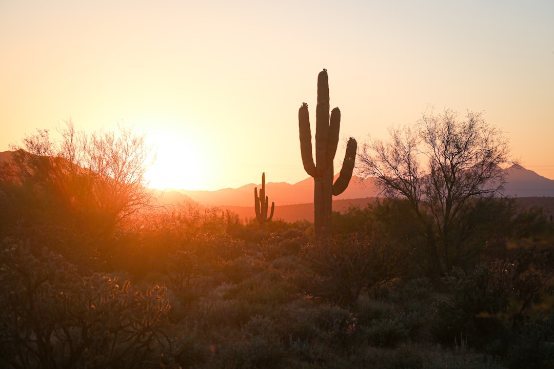 Phoenix office market shows encouraging signs of recovery — Arizona real estate