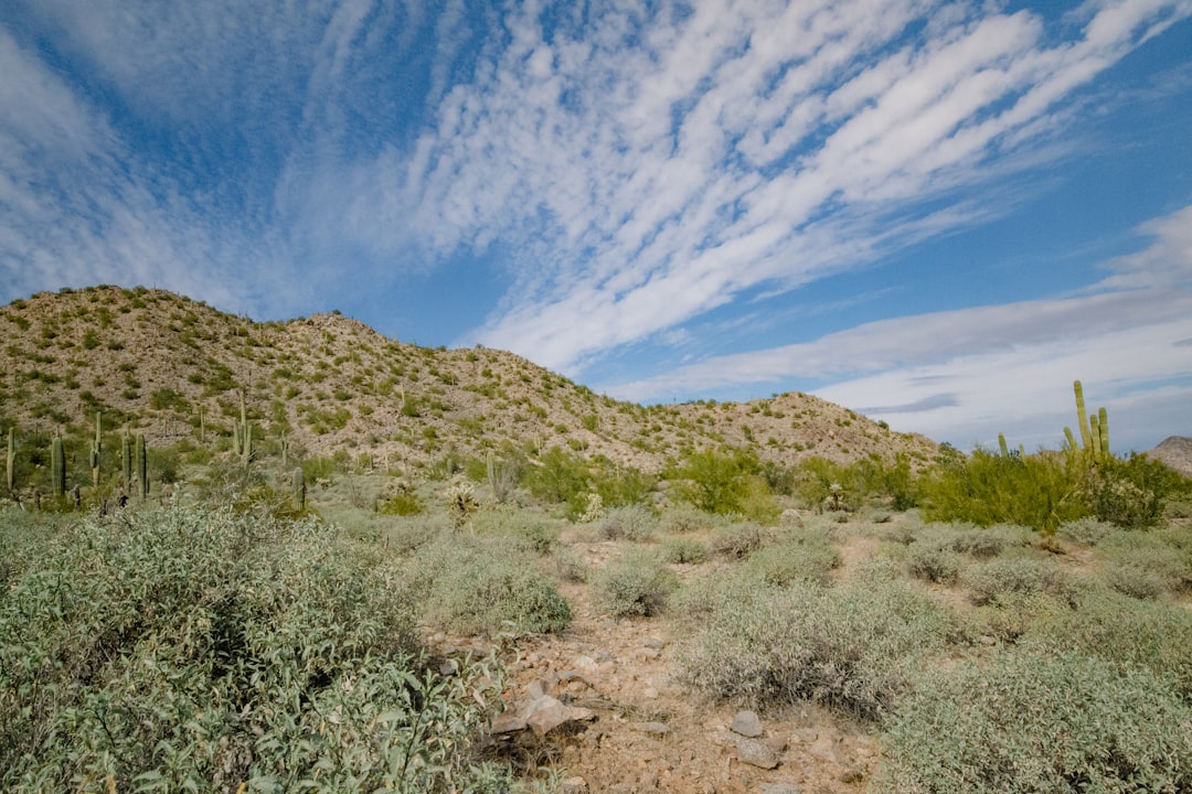 Seller Impersonation Fraud More Than Doubled Since 2024: What Arizona Homeowners Need to Know — Arizona real estate