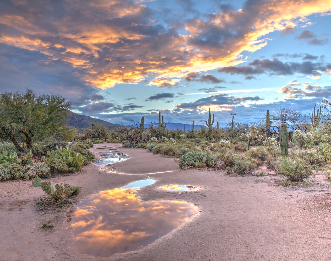 The Average New-Car Payment Is Shrinking Homebuyers' Budgets by $135,000 — Arizona real estate