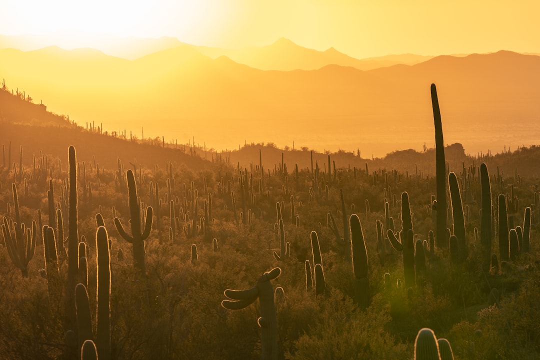 The Real Price of HOA Rants: How One Viral Post Can Trigger Costly Lawsuits — Arizona real estate