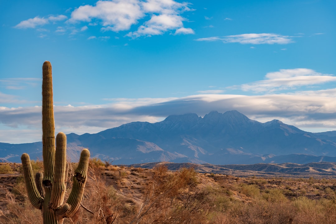When Lawn Care Goes Too Far: What Homeowners Can't Do To Their Lawns — Arizona real estate