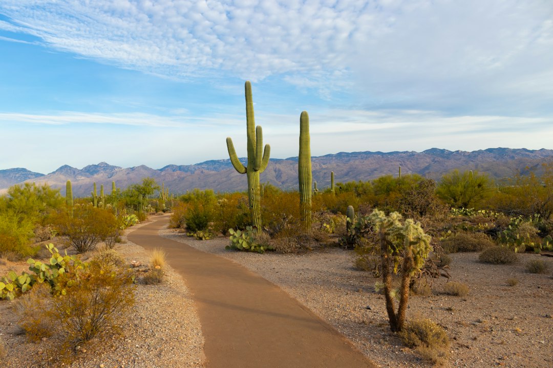 Where builder discounts are biggest and who is still buying — Arizona real estate